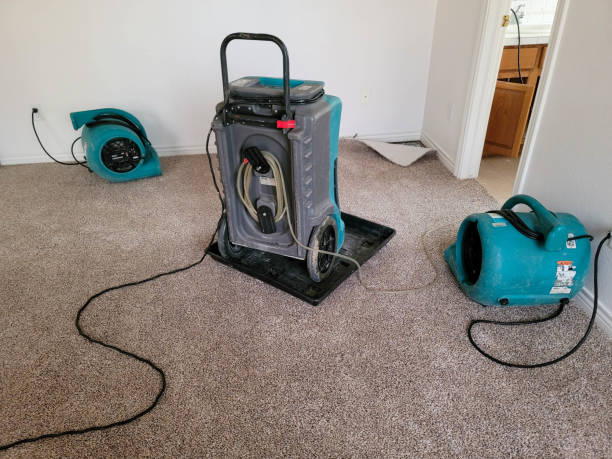 Best Flood restoration services  in Enumclaw, WA