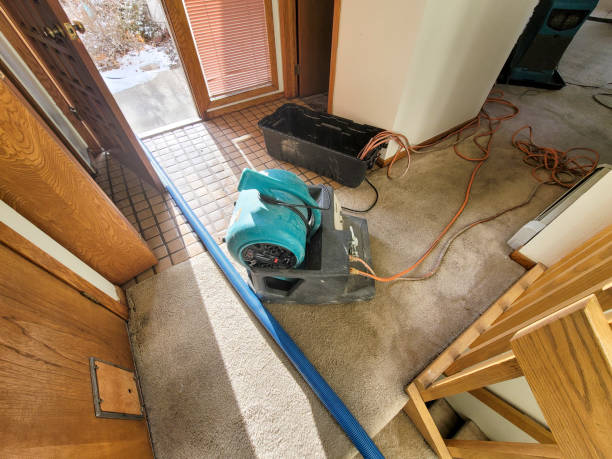 Best Flooded house restoration  in Enumclaw, WA