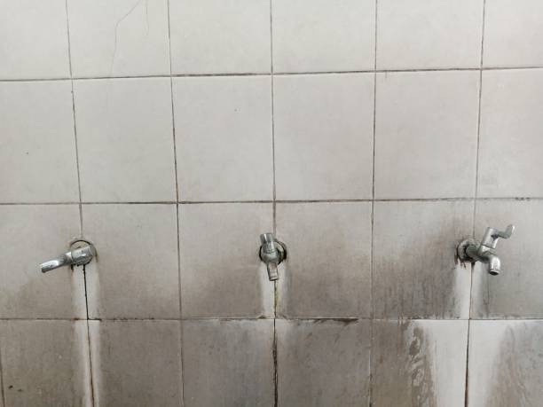 Best Water damage restoration near me  in Enumclaw, WA