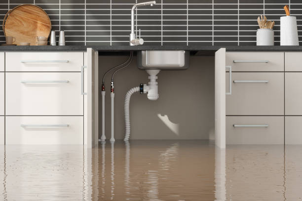 Best Basement water damage restoration  in Enumclaw, WA