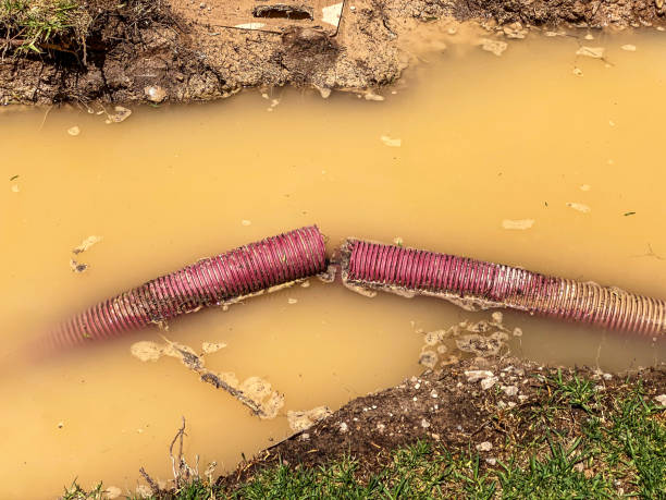 Best Water damage mitigation services  in Enumclaw, WA